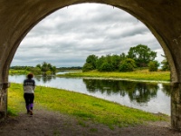 Shannonbridge